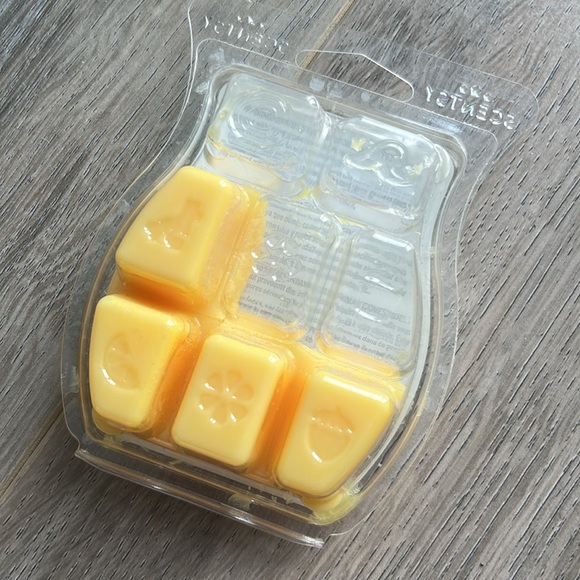 SCENTSY WAX BAR BUNDLE (5) - Picture 4 of 12